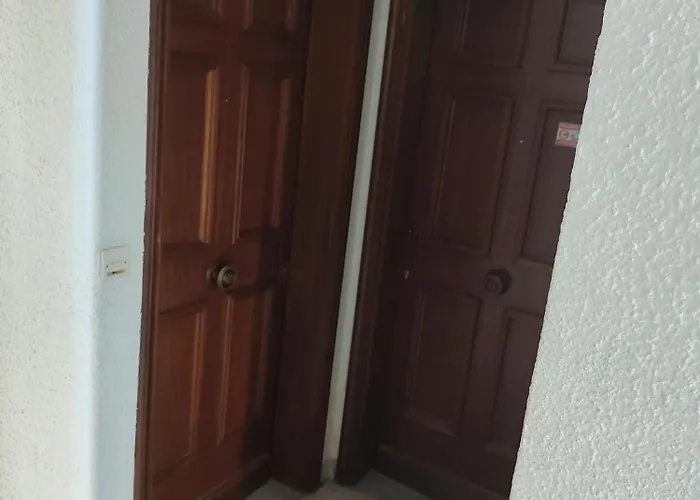 Bel